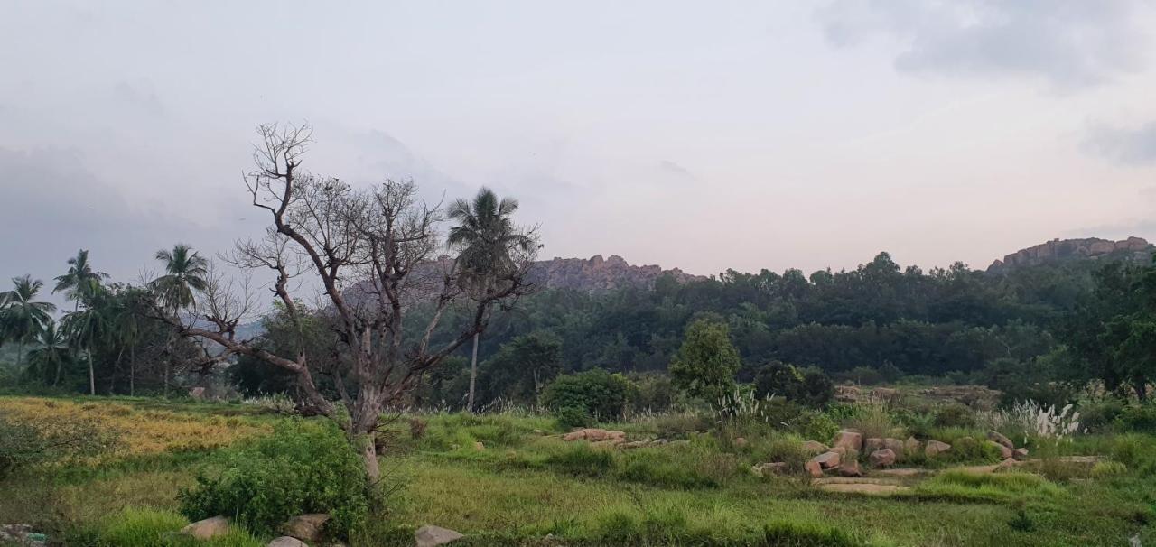 Lazy Panda Otel Hampi Dış mekan fotoğraf