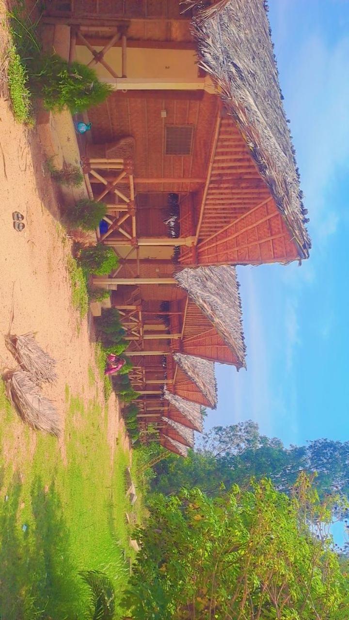 Lazy Panda Otel Hampi Oda fotoğraf