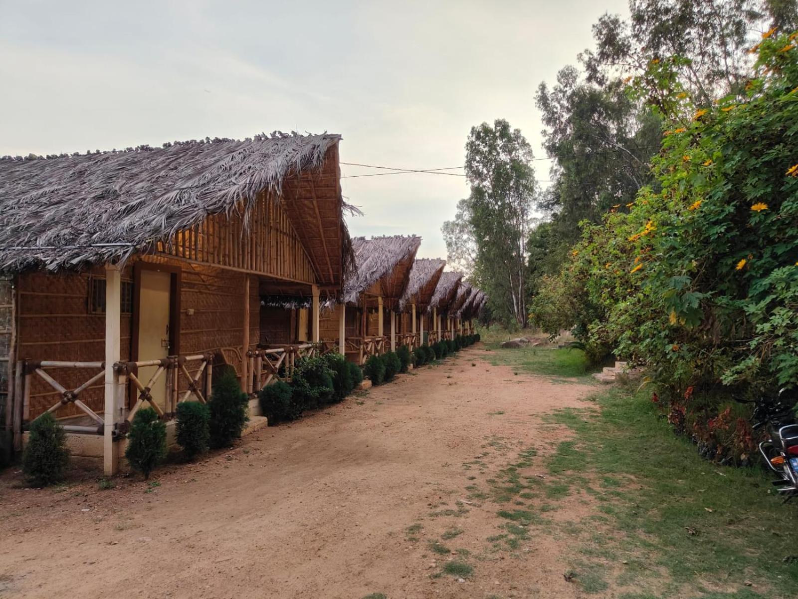 Lazy Panda Otel Hampi Oda fotoğraf